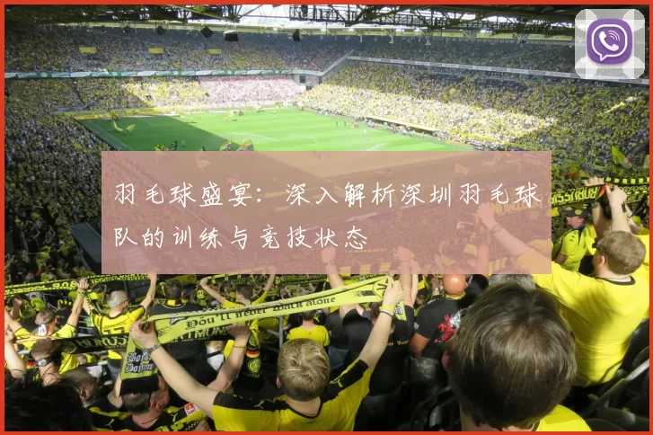 羽毛球盛宴：深入解析深圳羽毛球队的训练与竞技状态
