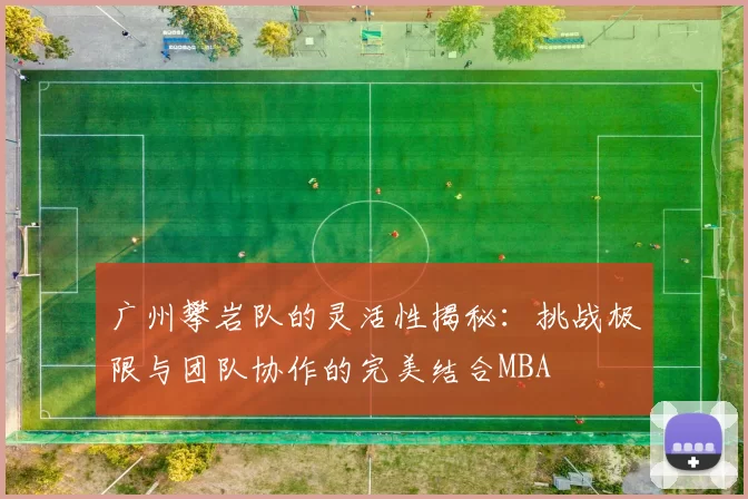 广州攀岩队的灵活性揭秘：挑战极限与团队协作的完美结合MBA