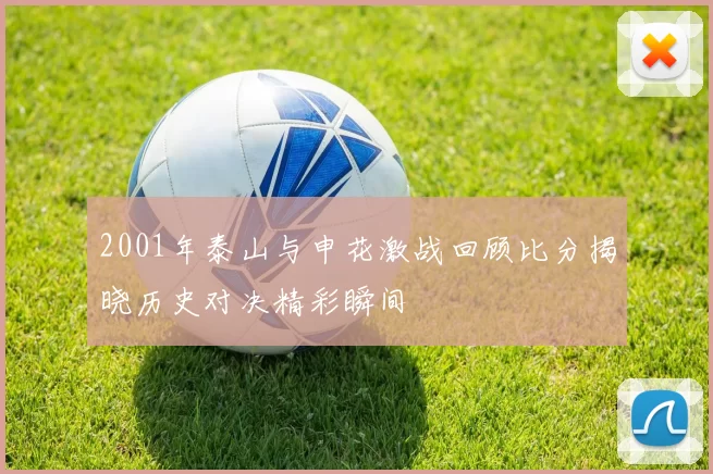 2001年泰山与申花激战回顾比分揭晓历史对决精彩瞬间