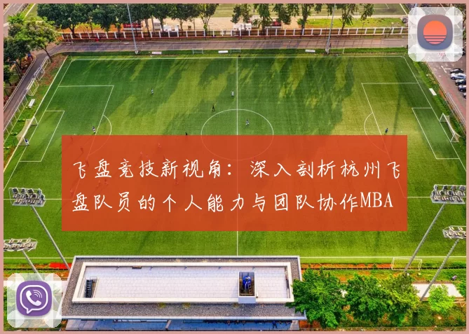 飞盘竞技新视角：深入剖析杭州飞盘队员的个人能力与团队协作MBA