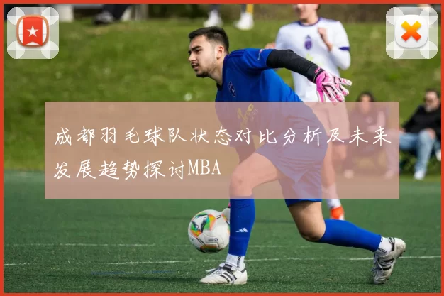 成都羽毛球队状态对比分析及未来发展趋势探讨MBA