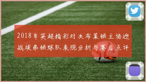 2018年英超精彩对决布莱顿主场迎战埃弗顿球队表现分析与赛后点评