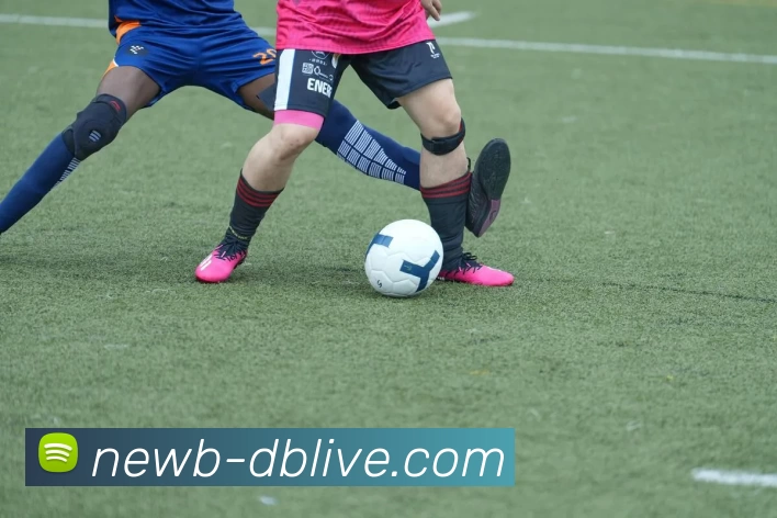 DB真人APP 封面图